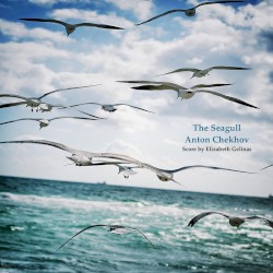 The Seagull