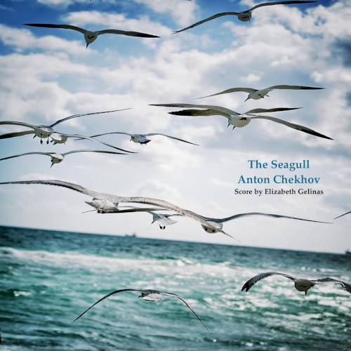 The Seagull