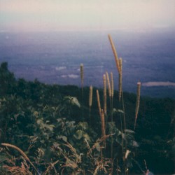 Underwritten VI