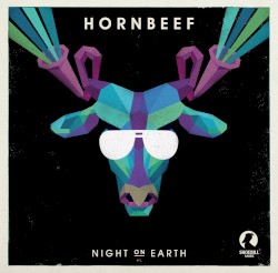 Night on Earth