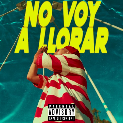 No Voy a Llorar