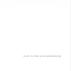 Fury in the Slaughterhouse