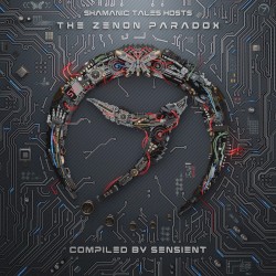 The Zenon Paradox