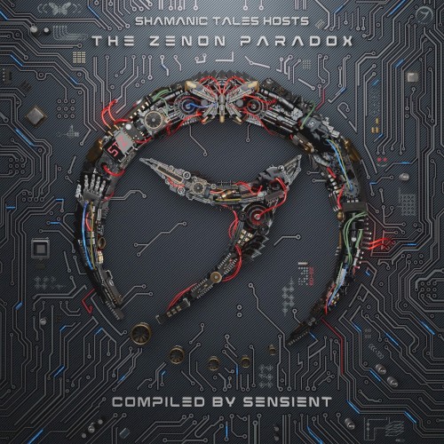 The Zenon Paradox