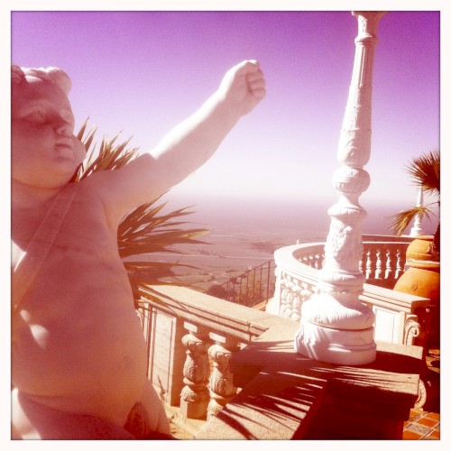 Flying Zambo