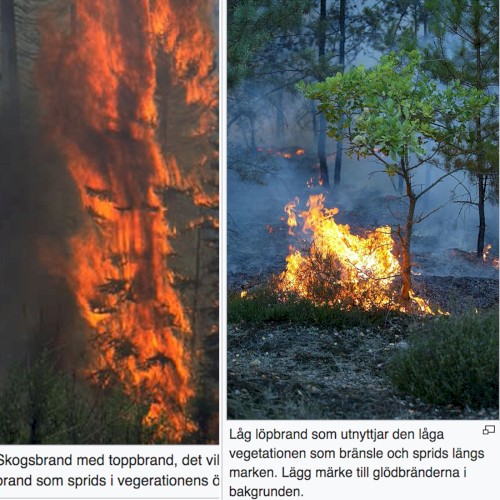 Incendios