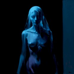 Veils (demo)