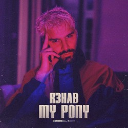 My Pony (extended mix)