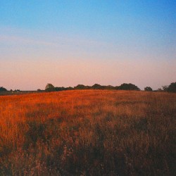 golden hour