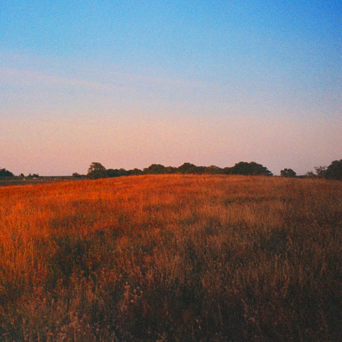 golden hour