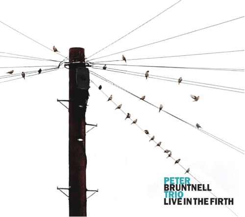 Live in the Firth