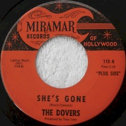 She’s Gone / What Am I Going to Do?