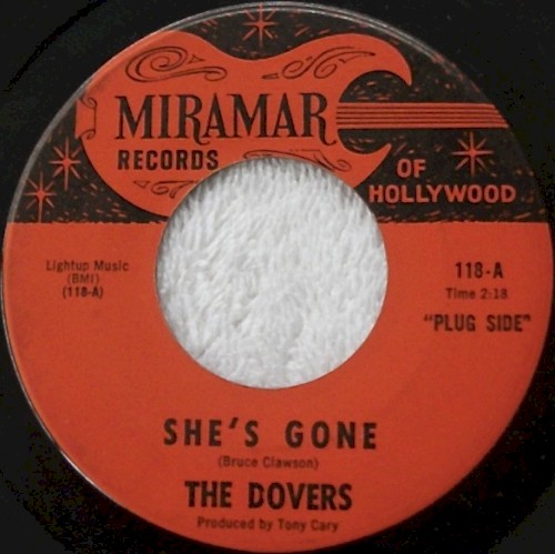 She’s Gone / What Am I Going to Do?