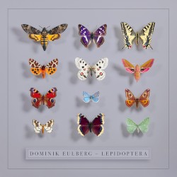 Lepidoptera
