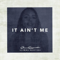 It Ain't Me (remix)