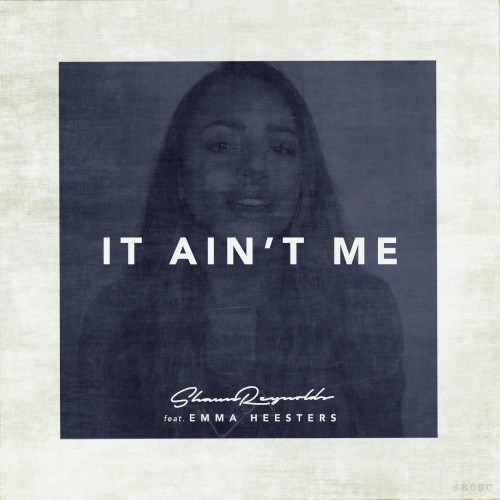 It Ain't Me (remix)