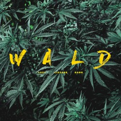 Wald