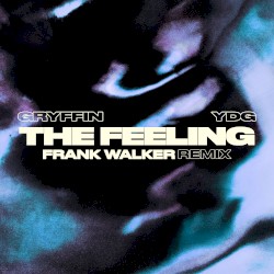 The Feeling (Frank Walker remix)