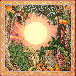 Citrus Fever Dream