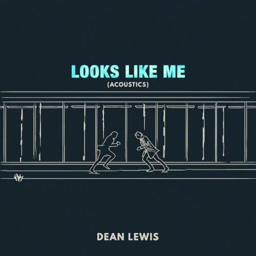 Looks Like Me (acoustics)