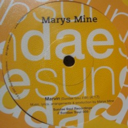 Marvin / Missing You