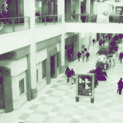 Mall Introspections