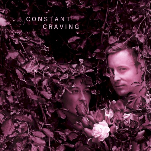 Constant Craving