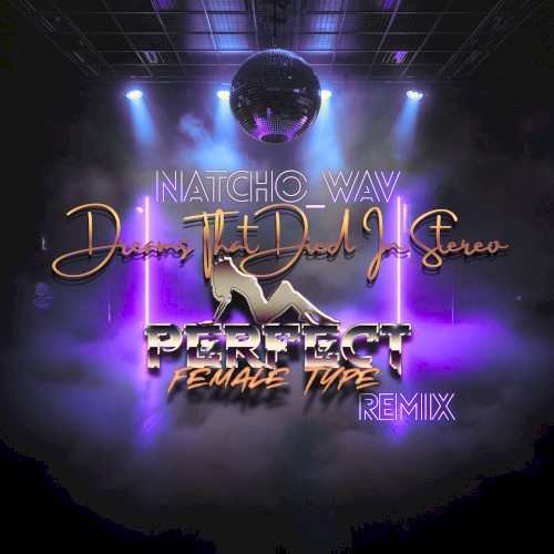 Dreams That Died In Stereo (Perfect Female Type Remix)