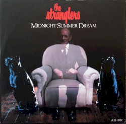 Midnight Summer Dream