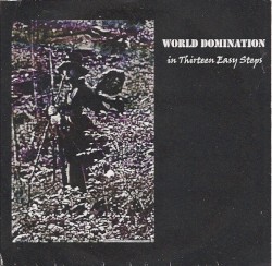 World Domination in Thirteen Easy Steps