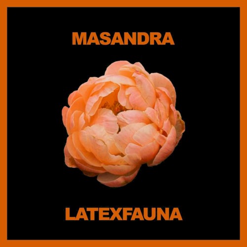 Masandra