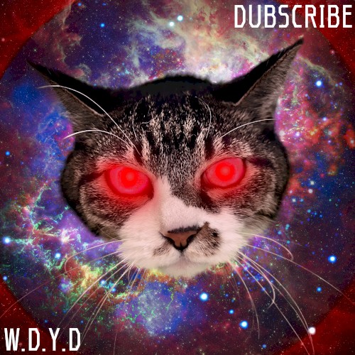 W.D.Y.D