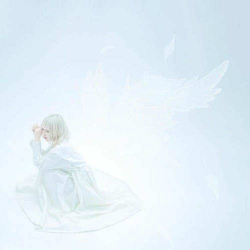 空白 demo