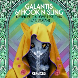 Never Felt a Love Like This (Remixes)