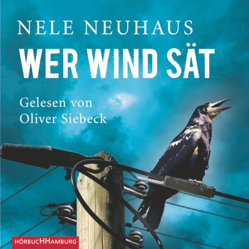 Wer Wind sät