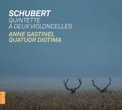 Quintette à deux violoncelles