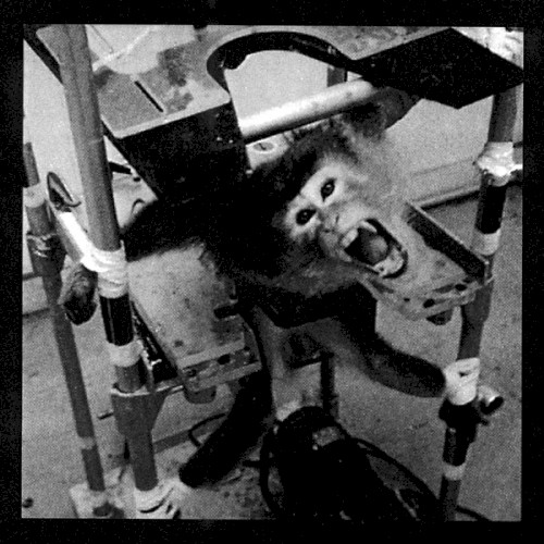 The Screaming Cage