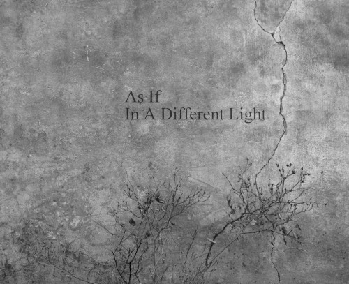 In a Different Light