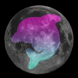 Moonlight