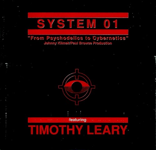 From Psychodelics to Cybernetics