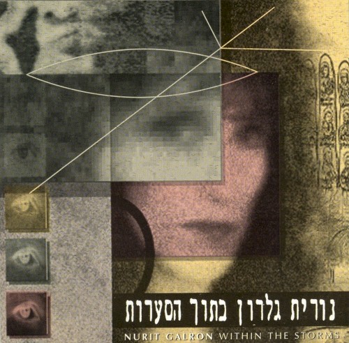 בתוך הסערות