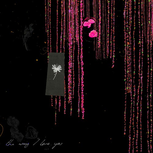 The Way I Love You (Remixes)