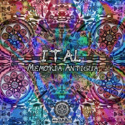 Memoria Antigua