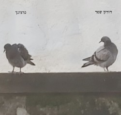 כרצונך