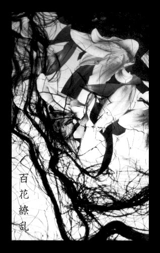 百花繚乱