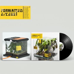 Formatted Excess
