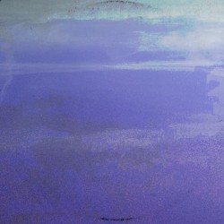 Glass Sky Jungle