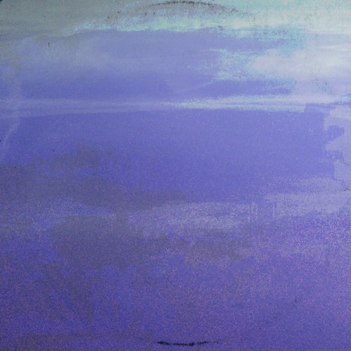 Glass Sky Jungle