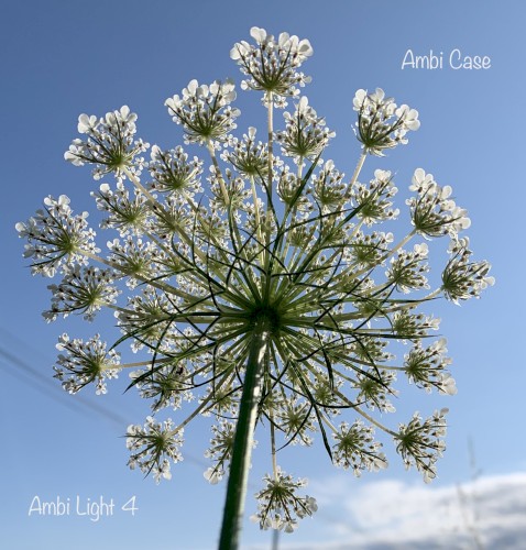 Ambi Light 4