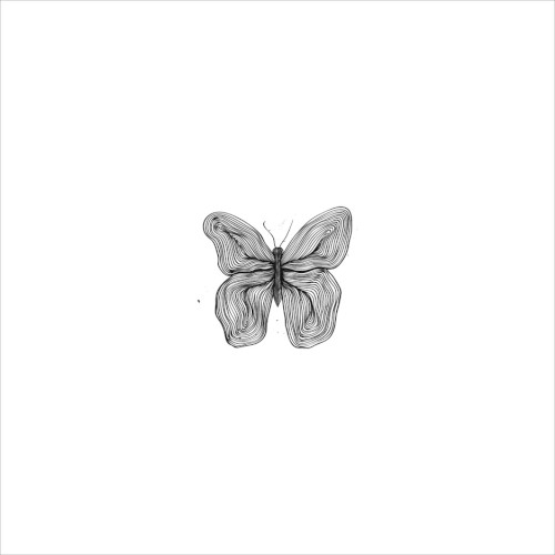 Metamorphosis
